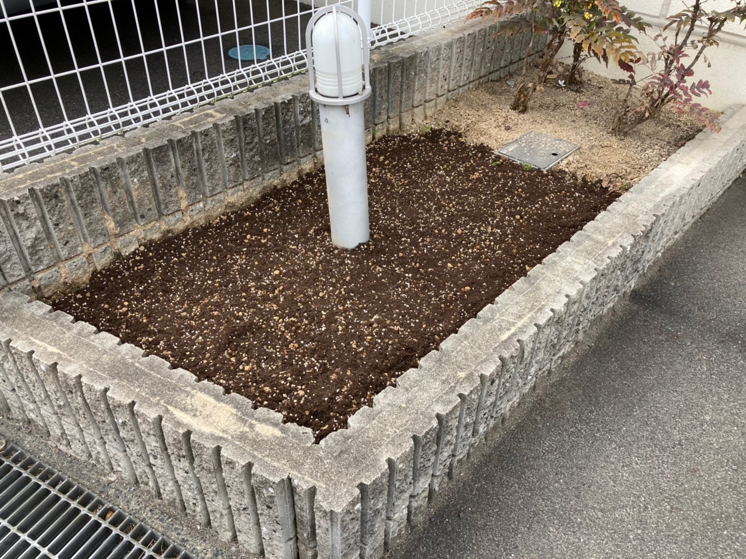 お家の塗り替え専門店　お花を植えました