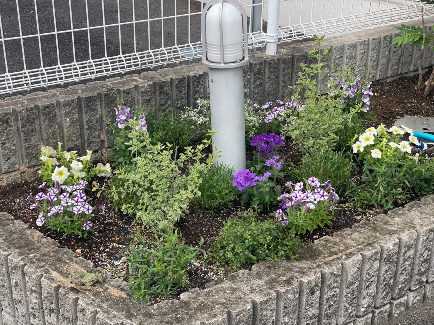 お家の塗り替え専門店　花壇を夏仕様にしました