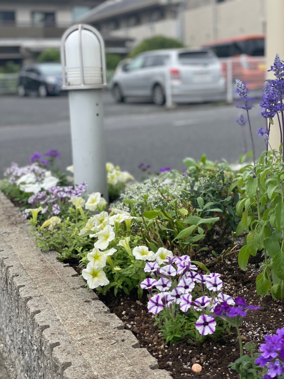 お家の塗り替え専門店　花壇を夏仕様にしました