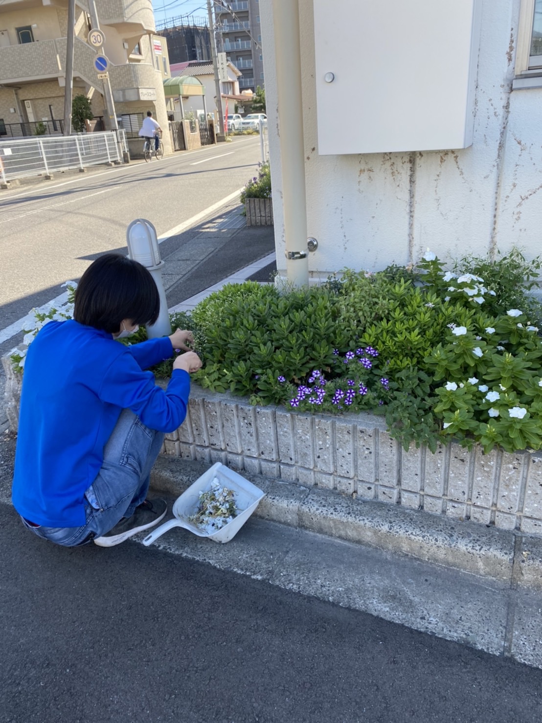 大塗屋の花壇?