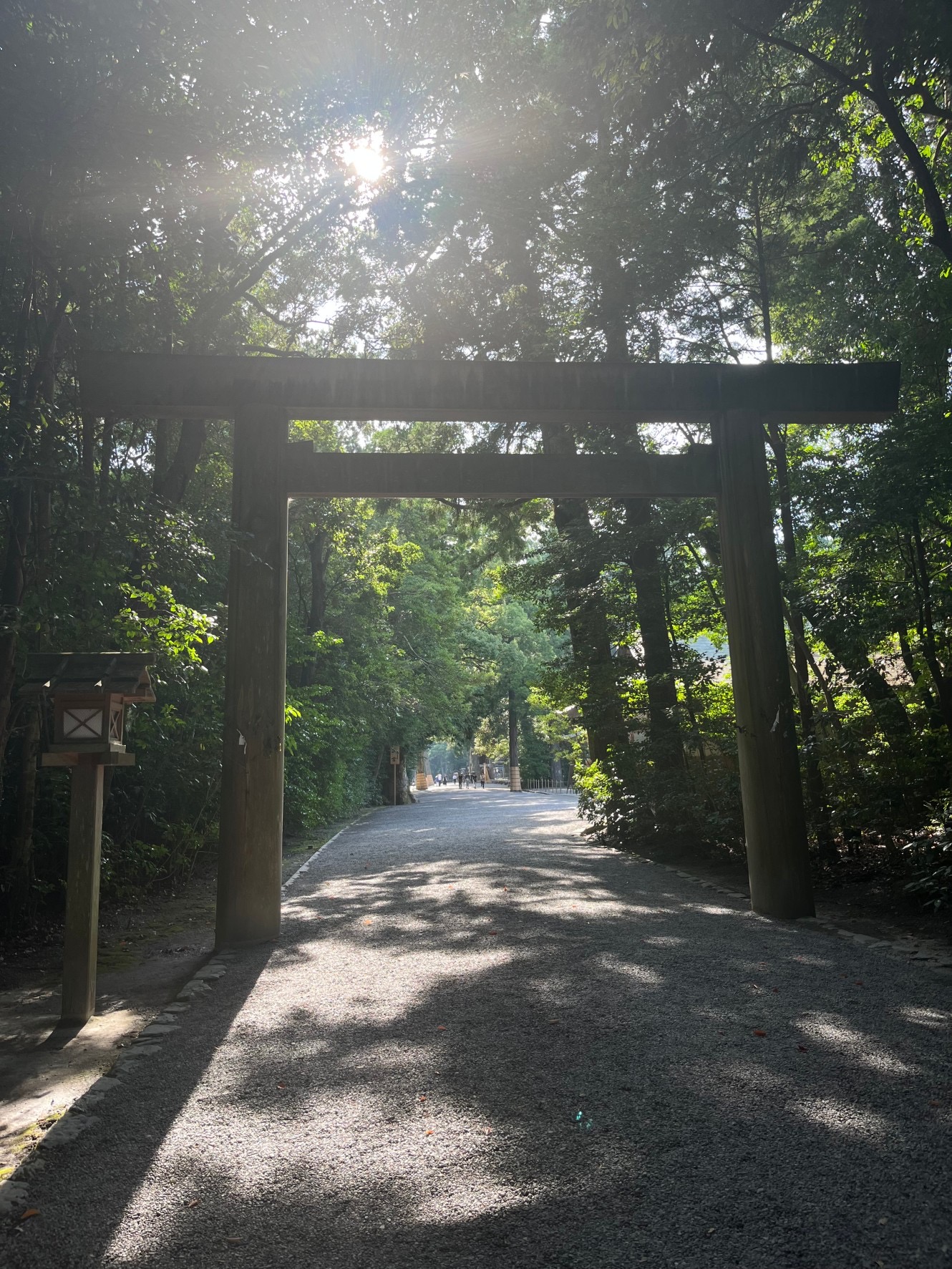 初めての近畿地方へ✈️