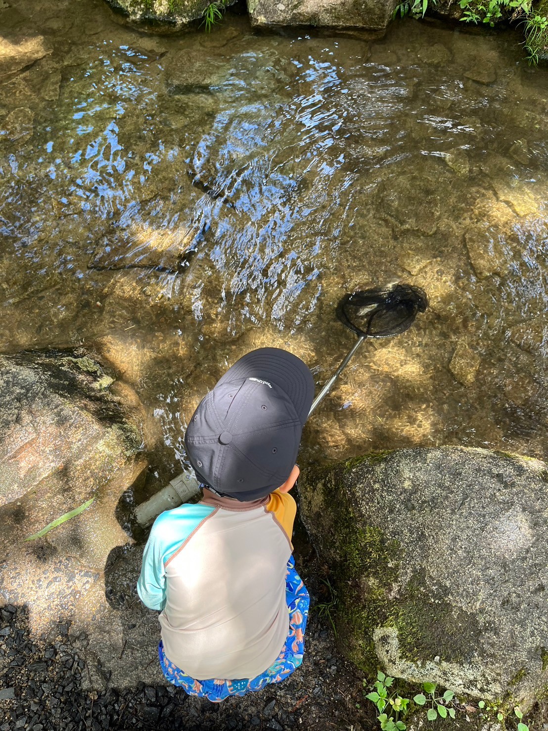 川遊びで休日を満喫してきました🐟