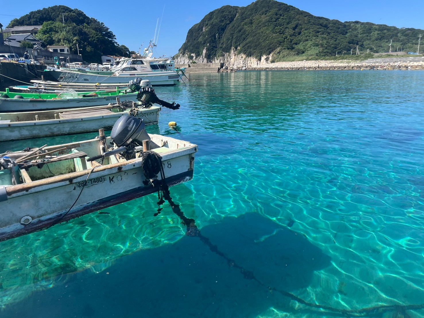 柏島に行ってきました🐠🐡🪼