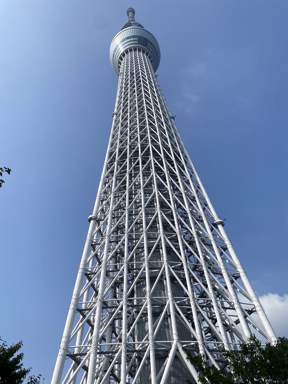 大塗屋は地域密着型の塗装会社です✨