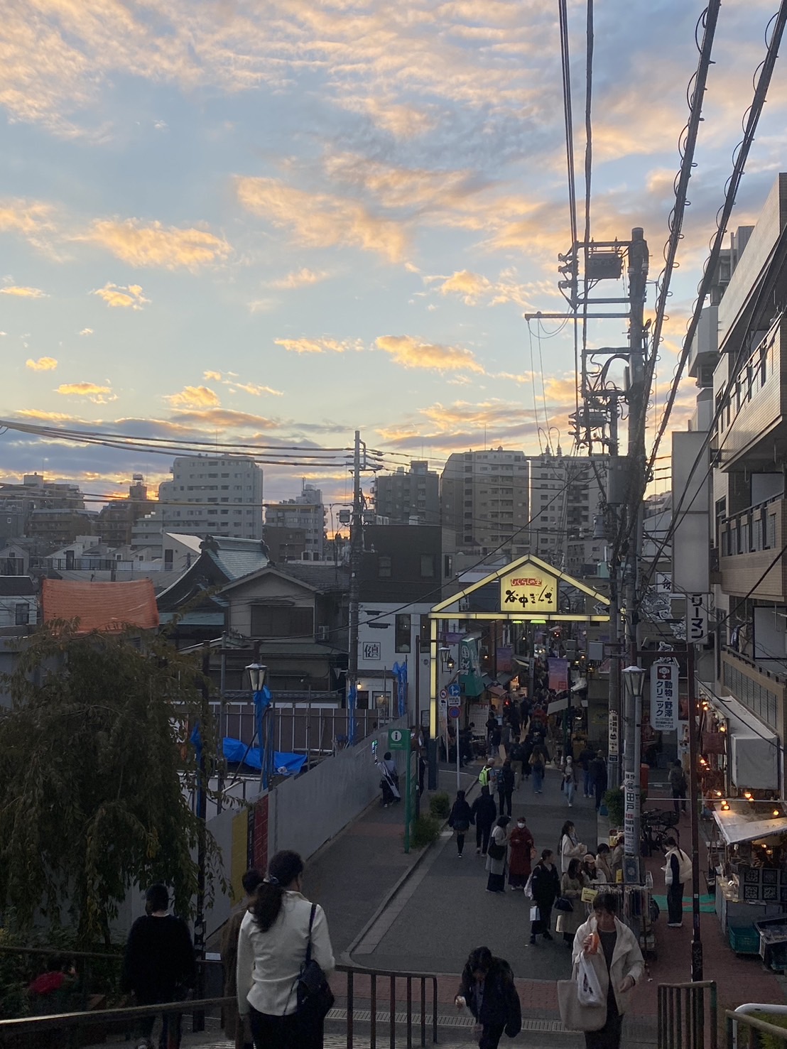 谷中銀座へ行ってきました🐈