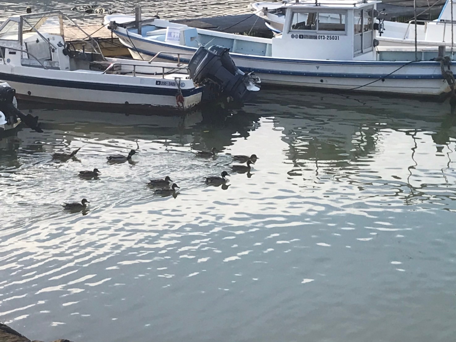 点検の合間に🦆